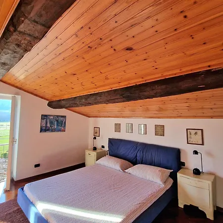 Lucertole By Mmega Villa