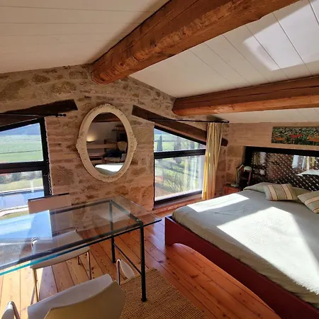 Lucertole By Mmega Villa *