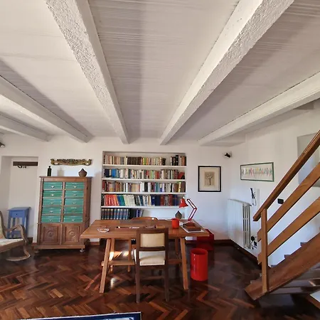 Lucertole By Mmega Villa *