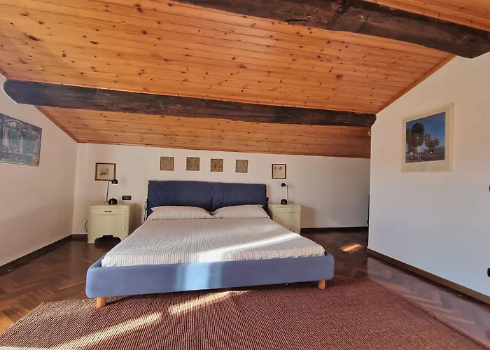 Lucertole By Mmega Villa *