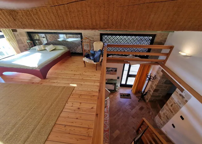 Lucertole By Mmega Morra