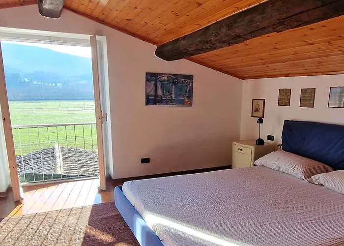 Lucertole By Mmega * Morra