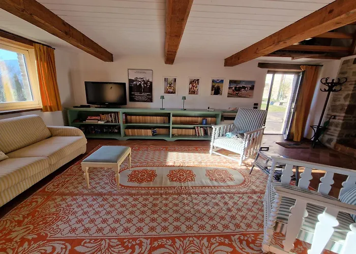 Lucertole By Mmega *