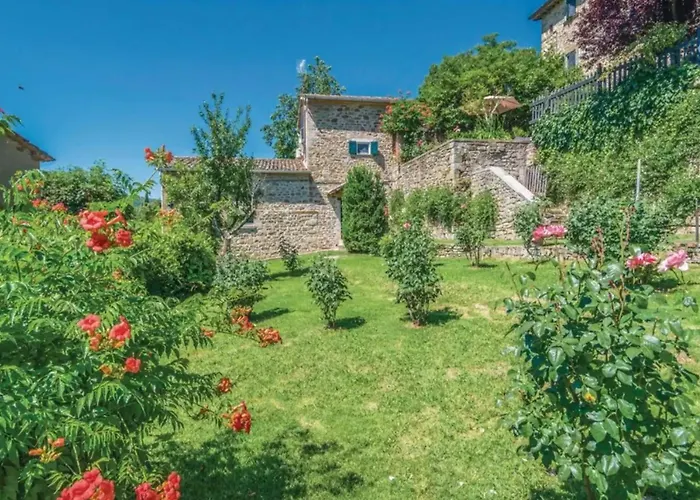 Lucertole By Mmega Morra